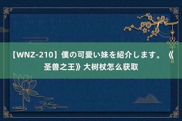 【WNZ-210】僕の可愛い妹を紹介します。 《圣兽之王》大树杖怎么获取