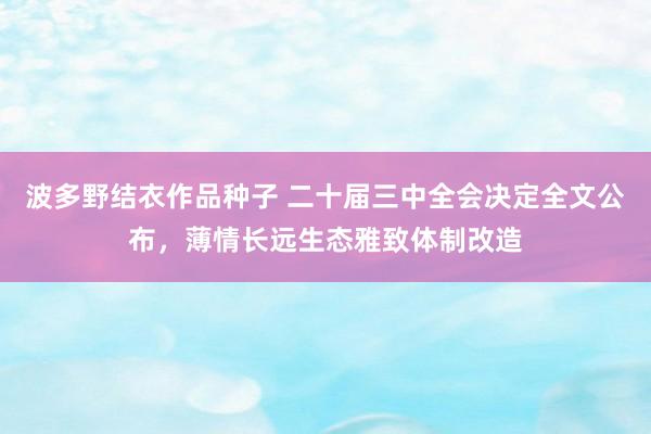 波多野结衣作品种子 二十届三中全会决定全文公布，薄情长远生态雅致体制改造