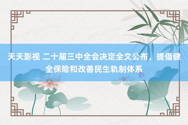 天天影视 二十届三中全会决定全文公布，提倡健全保险和改善民生轨制体系