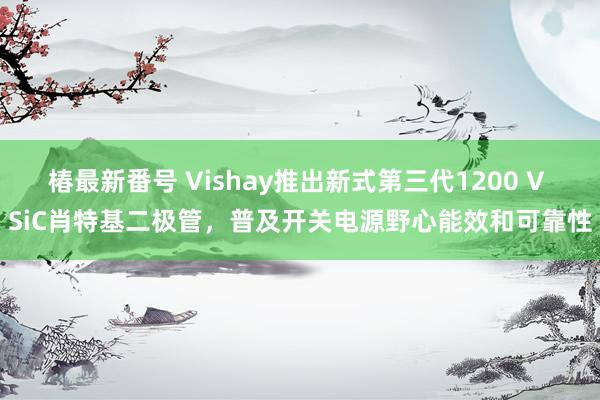 椿最新番号 Vishay推出新式第三代1200 V SiC肖特基二极管，普及开关电源野心能效和可靠性