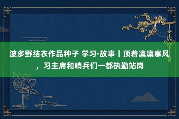 波多野结衣作品种子 学习·故事丨顶着凛凛寒风，习主席和哨兵们一都执勤站岗