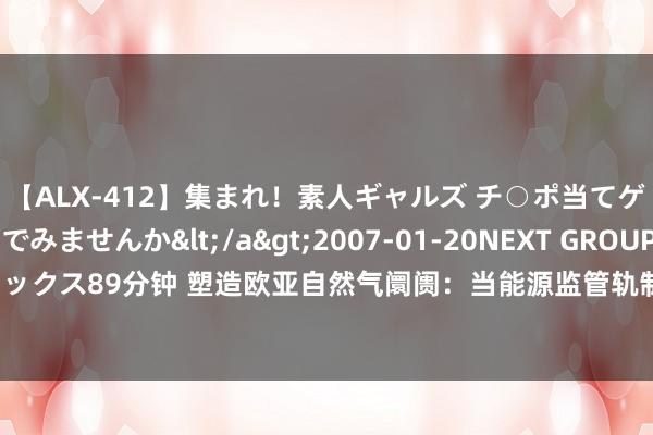 【ALX-412】集まれ！素人ギャルズ チ○ポ当てゲームで賞金稼いでみませんか</a>2007-01-20NEXT GROUP&$アレックス89分钟 塑造欧亚自然气阛阓：当能源监管轨制成为地缘政事器具 | 国政学东说念主