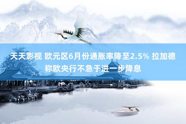 天天影视 欧元区6月份通胀率降至2.5% 拉加德称欧央行不急于进一步降息