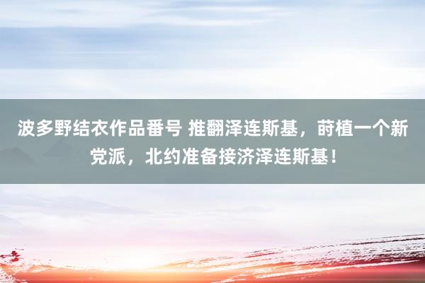 波多野结衣作品番号 推翻泽连斯基，莳植一个新党派，北约准备接济泽连斯基！