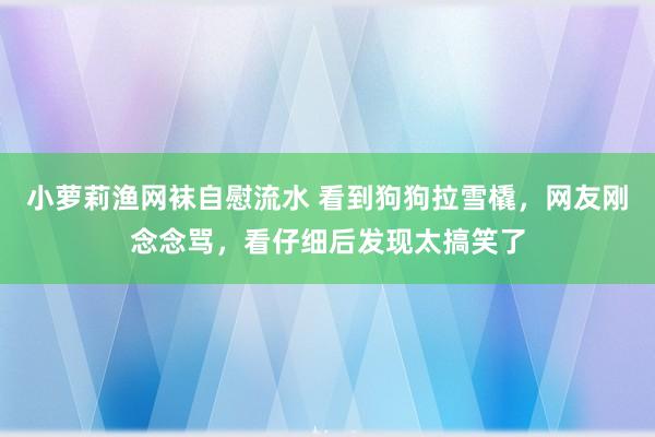 小萝莉渔网袜自慰流水 看到狗狗拉雪橇，网友刚念念骂，看仔细后发现太搞笑了