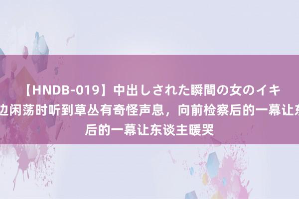 【HNDB-019】中出しされた瞬間の女のイキ顔 男人海边闲荡时听到草丛有奇怪声息，向前检察后的一幕让东谈主暖哭