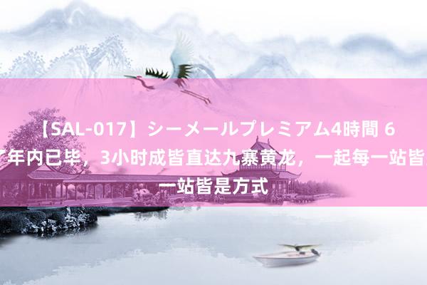 【SAL-017】シーメールプレミアム4時間 6 不藏了年内已毕，3小时成皆直达九寨黄龙，一起每一站皆是方式