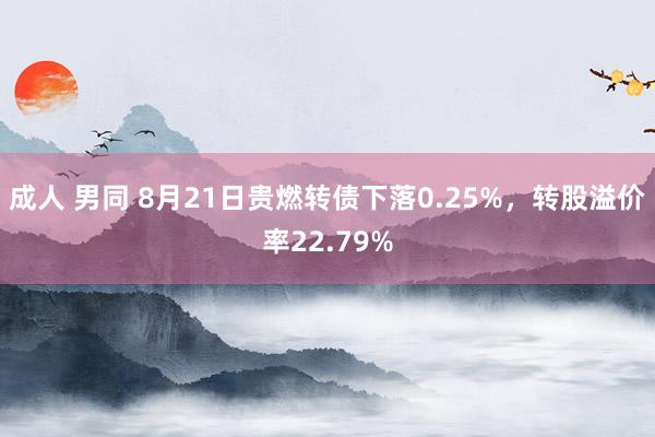 成人 男同 8月21日贵燃转债下落0.25%，转股溢价率22.79%