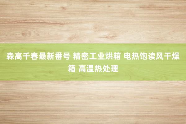 森高千春最新番号 精密工业烘箱 电热饱读风干燥箱 高温热处理