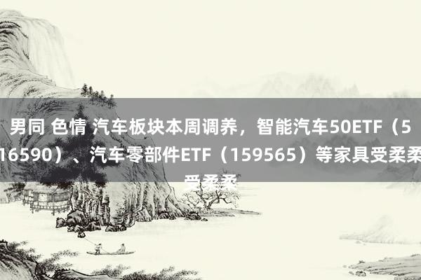 男同 色情 汽车板块本周调养，智能汽车50ETF（516590）、汽车零部件ETF（159565）等家具受柔柔