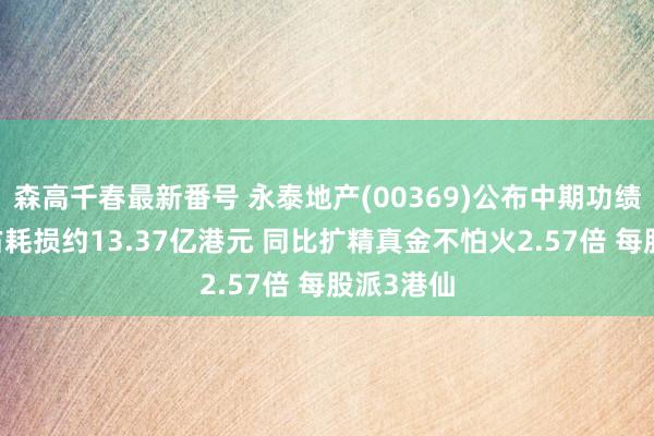 森高千春最新番号 永泰地产(00369)公布中期功绩 鼓吹应占耗损约13.37亿港元 同比扩精真金不怕火2.57倍 每股派3港仙