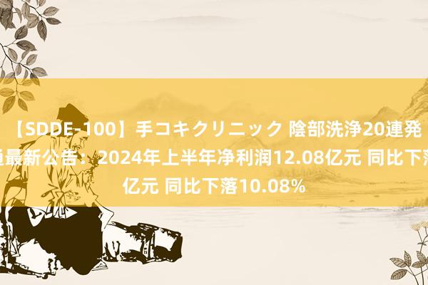 【SDDE-100】手コキクリニック 陰部洗浄20連発SP 九囿通最新公告：2024年上半年净利润12.08亿元 同比下落10.08%