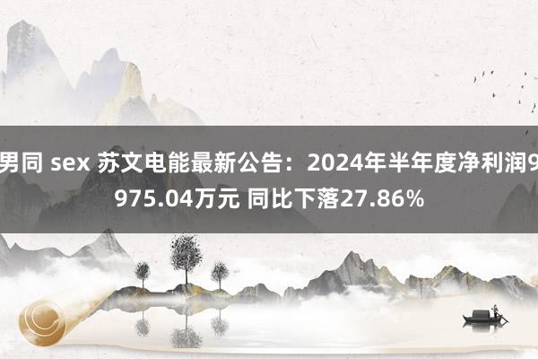 男同 sex 苏文电能最新公告：2024年半年度净利润9975.04万元 同比下落27.86%