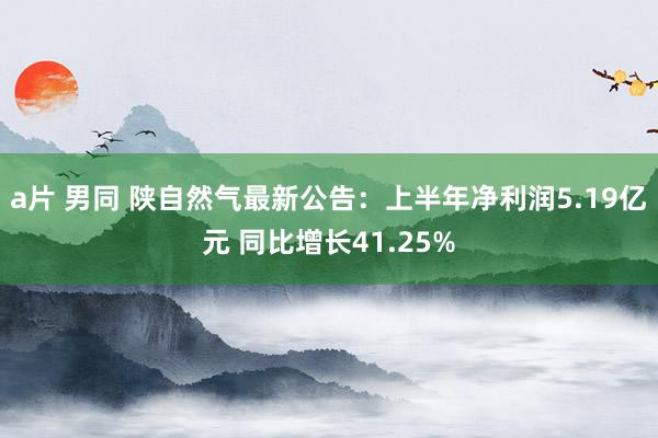 a片 男同 陕自然气最新公告：上半年净利润5.19亿元 同比增长41.25%