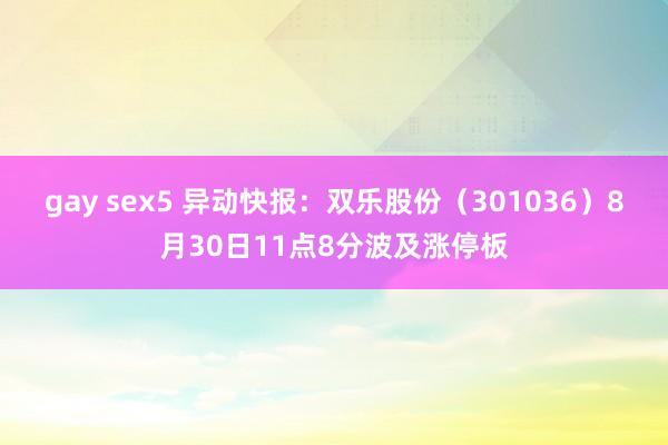 gay sex5 异动快报：双乐股份（301036）8月30日11点8分波及涨停板