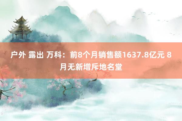 户外 露出 万科：前8个月销售额1637.8亿元 8月无新增斥地名堂