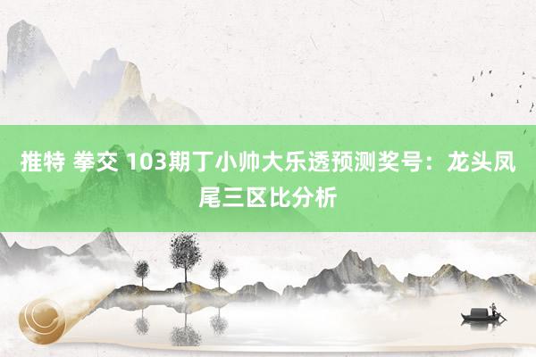 推特 拳交 103期丁小帅大乐透预测奖号：龙头凤尾三区比分析