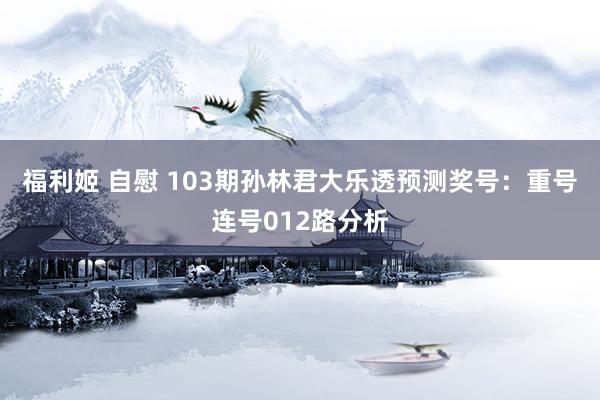 福利姬 自慰 103期孙林君大乐透预测奖号：重号连号012路分析