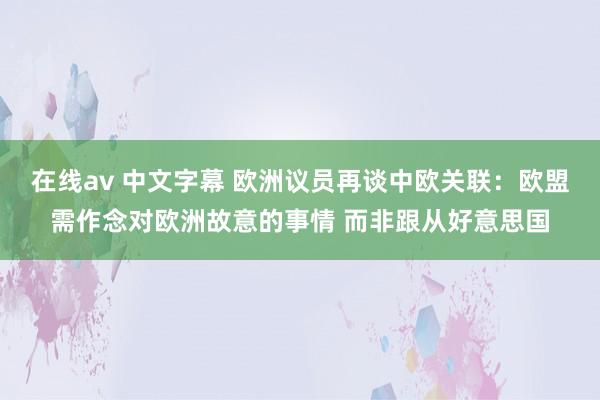 在线av 中文字幕 欧洲议员再谈中欧关联：欧盟需作念对欧洲故意的事情 而非跟从好意思国