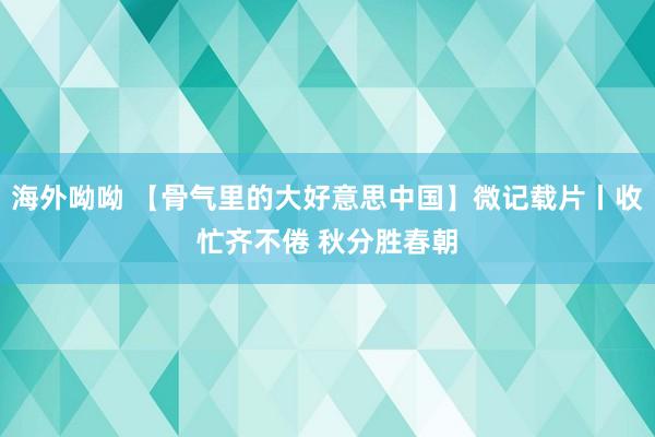 海外呦呦 【骨气里的大好意思中国】微记载片丨收忙齐不倦 秋分胜春朝