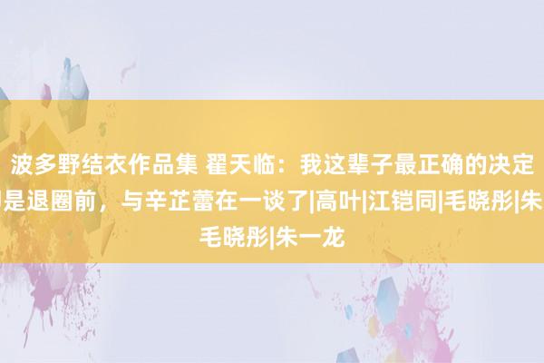 波多野结衣作品集 翟天临：我这辈子最正确的决定，即是退圈前，与辛芷蕾在一谈了|高叶|江铠同|毛晓彤|朱一龙