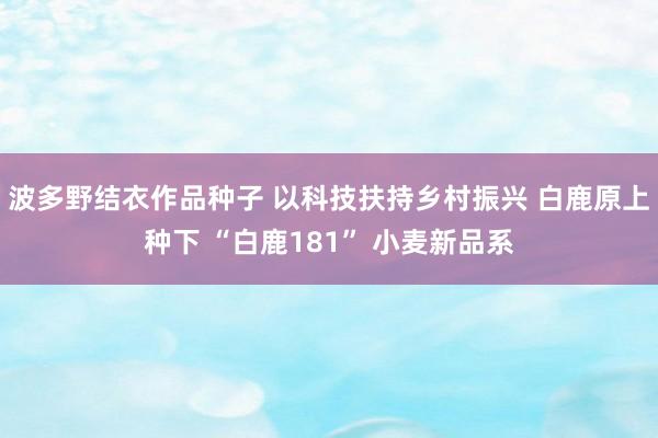 波多野结衣作品种子 以科技扶持乡村振兴 白鹿原上种下 “白鹿181” 小麦新品系