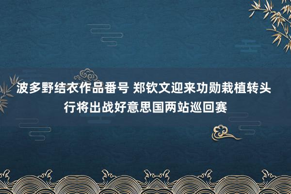 波多野结衣作品番号 郑钦文迎来功勋栽植转头 行将出战好意思国两站巡回赛